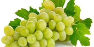 Fresh Grapes
