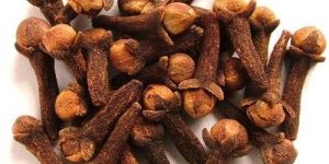 Clove Pods