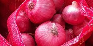 Fresh Red Onion