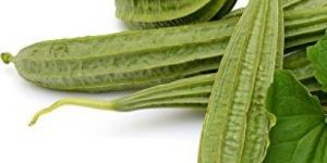 Fresh Ridge Gourd