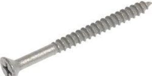 Galvanized Screw