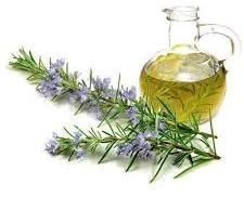 Rosemary Oil