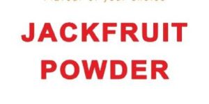Jackfruit Powder