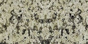 Royal Cream Granite Slab
