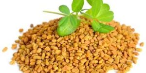 Fenugreek Seeds