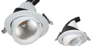 LZM LED Zoom Light