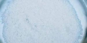 Desiccated Coconut Powder