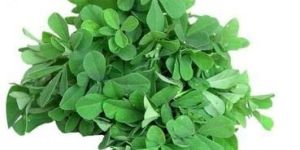 Organic Fenugreek Leaves