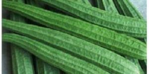 Organic Ridge Gourd