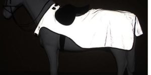 Horse Exercise Sheet