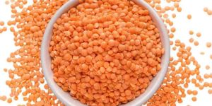 Red Lentils