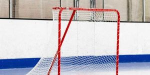Hockey Goal Net