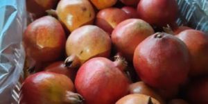 Fresh Pomegranates