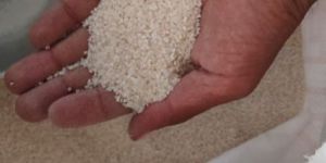 Broken Raw Rice