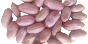 Organic Red Skin Peanuts