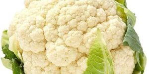 Fresh Cauliflower