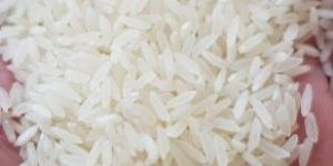 Steam Basmati Rice