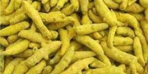 Turmeric Finger