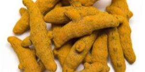 Turmeric Finger