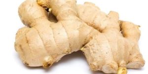 Fresh Ginger