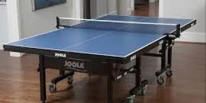 Table Tennis Tables