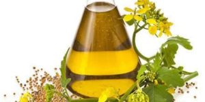 Quality Canola Oil