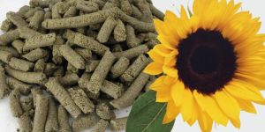 Sunflower Meal
