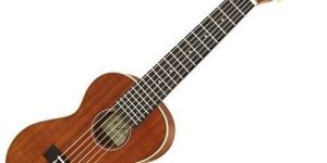 Ukulele Guitar