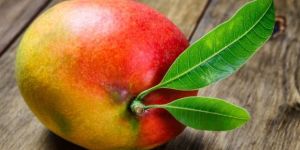 Fresh Chandura Mango