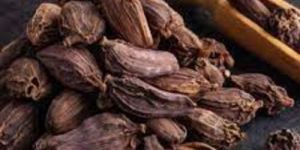 Black Pepper