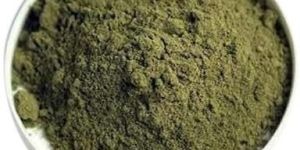 Graviola Leaf Extract