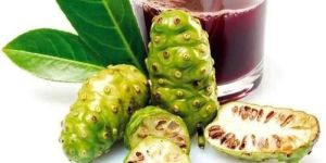 Noni Extract