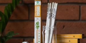 Plantable Seed Pencils