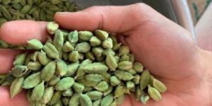 Green Cardamom