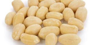 Blanched Peanuts