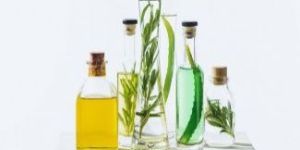 Fennel Essential Oil
