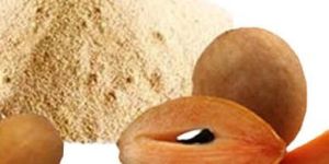 Sapota Powder
