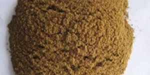 Bone Meal Powder