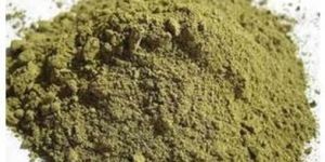 Organic Tulsi Powder