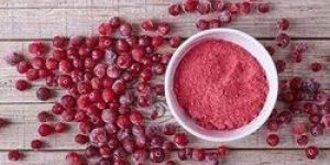 Prickly Pear Fruit Powder
