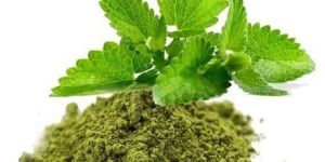 PURE TULSI POWDER