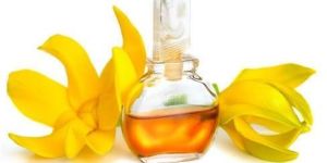 Ylang Ylang Oil