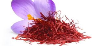 Saffron Herb