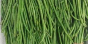 Fresh Long Beans