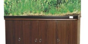 Designer Aquarium Tank