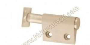 Brass Mango Push Magnet