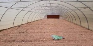 Poly Tunnel House