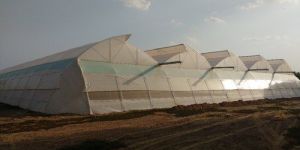 Polyhouse Repairing Service