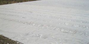 Soil Solarization Film