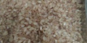 Mottai Karuppan Rice